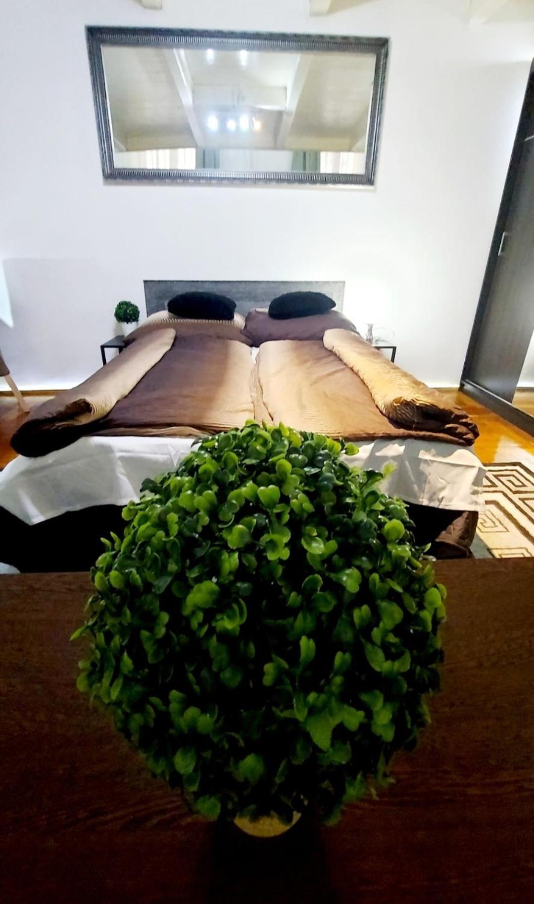 Home City Center Terrace Apartment Budapest Luaran gambar