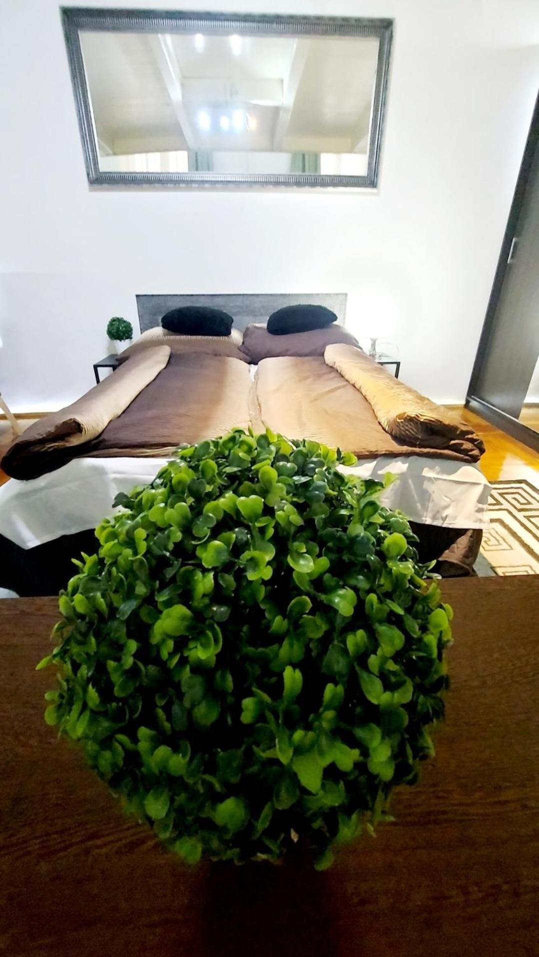 Home City Center Terrace Apartment Budapest Luaran gambar